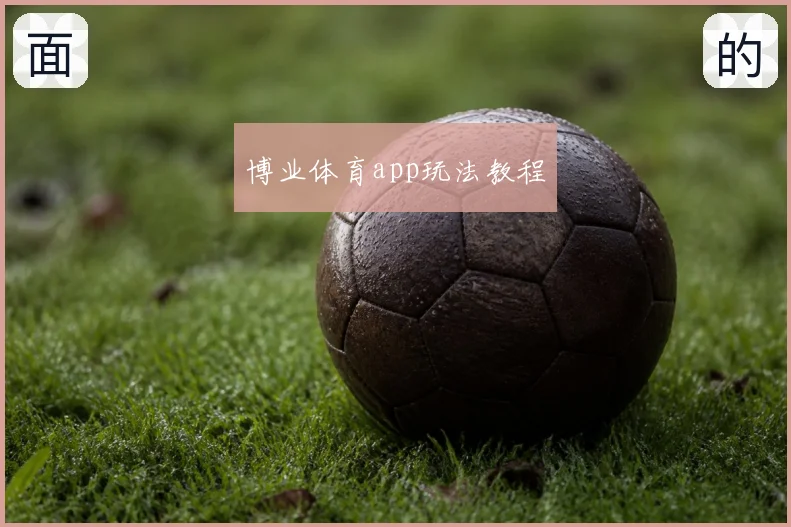 博业体育app玩法教程