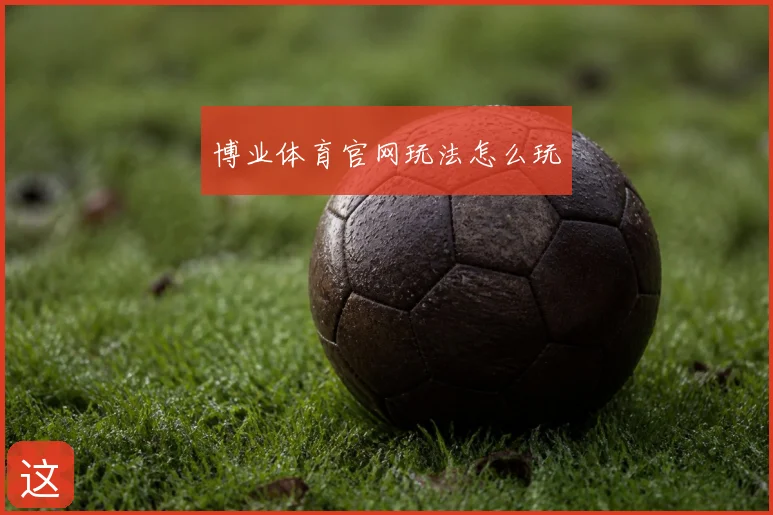 博业体育官网玩法怎么玩
