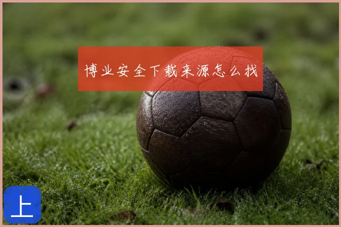 博业安全下载来源怎么找